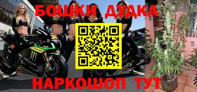 мдпв Нальчик