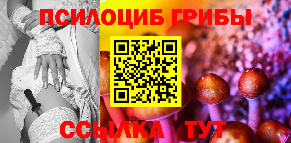 купить   Вход с VPN  Санкт-Петербург  Галлюциногенные грибы мицелий 