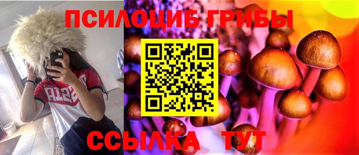 Псилоцибиновые грибы GOLDEN TEACHER Санкт-Петербург